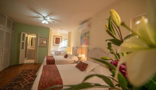 Superior Deluxe Double or Twin Room 