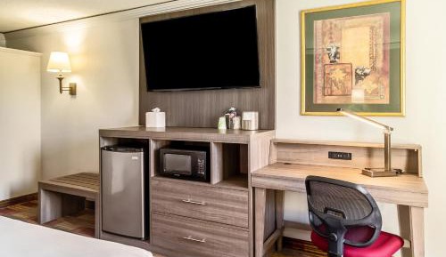 Kitchenette Suite