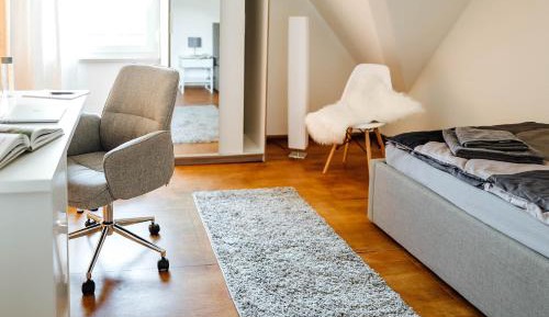 Large Single Room