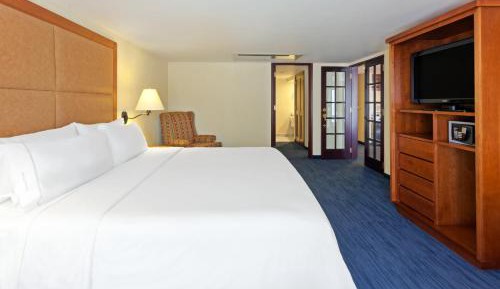 One-Bedroom King Suite