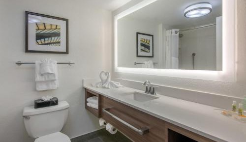King Suite with Walk-In Shower