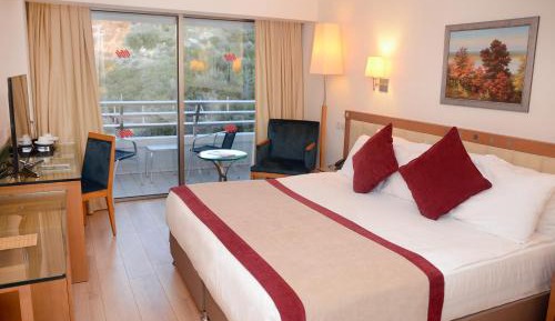 Double or Twin Room with Land View