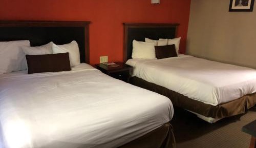 Standard Double Room with Two Double Beds