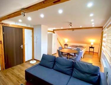 King Studio with Sofa Bed
