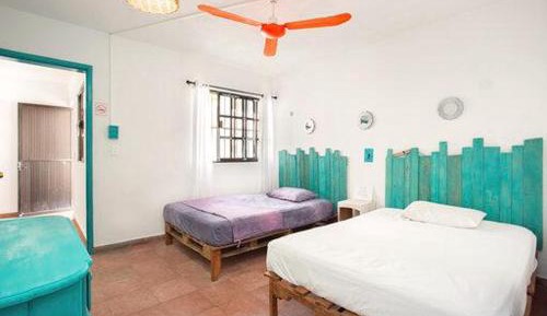Twin Room with Shared Bathroom
