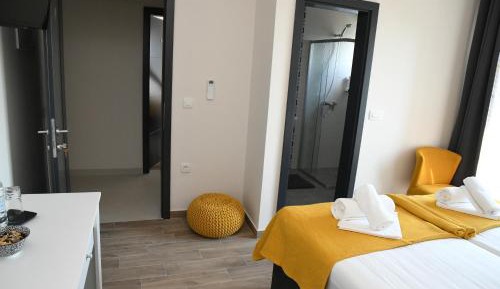 Deluxe Double or Twin Room with River View
