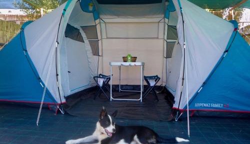 Tent Family