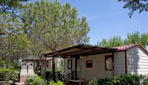 Standard Bungalow