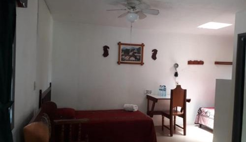 Single Bed in Mixed Dormitory Room