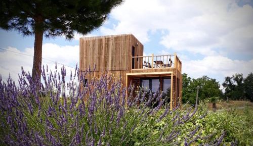 Duplex Studio