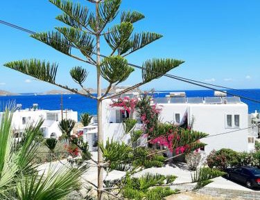 Windmill Executive Suite