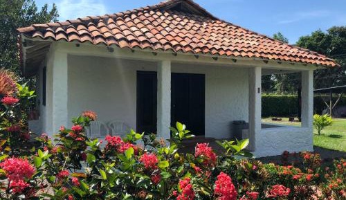 One-Bedroom Bungalow