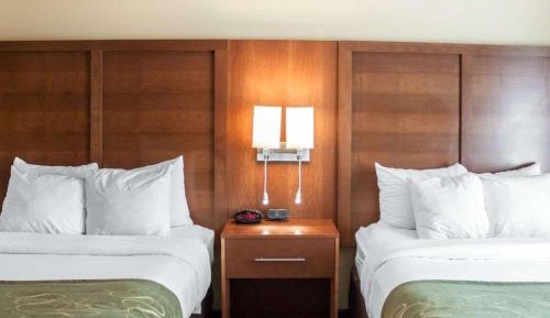 Queen Suite
