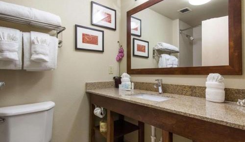 Standard King Suite