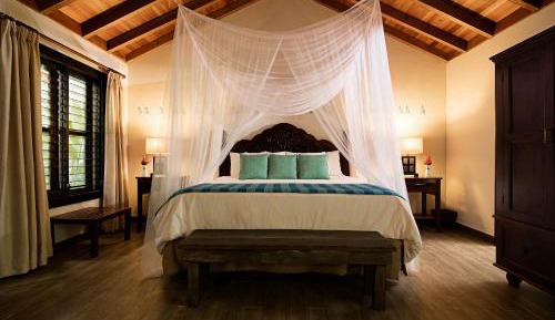 Suite with Jungle View