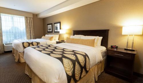 Queen Room with Two Queen Beds