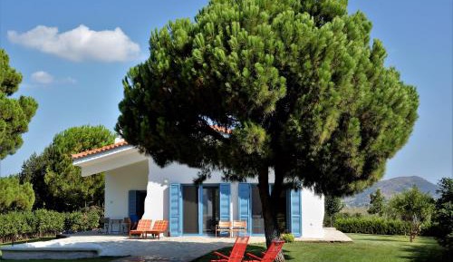 Holiday Home