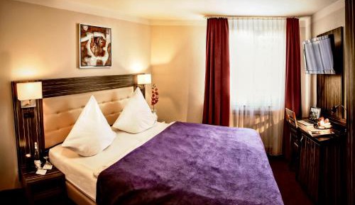 Comfort Single Room