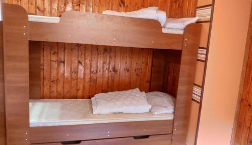 Bunk Bed in Mixed Dormitory Room