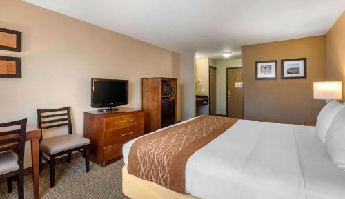 Standard Room, 1 King Bed, Non-Smoking