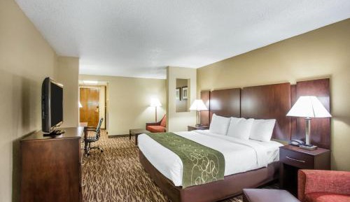 Standard King Room