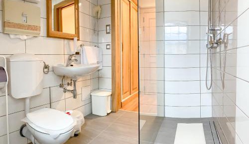 Deluxe Double or Twin Room with Mountain View