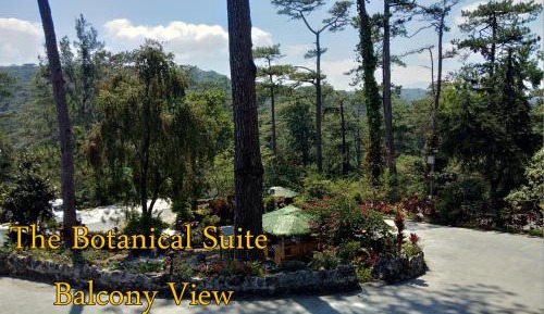 Executive Suite with Jacuzzi