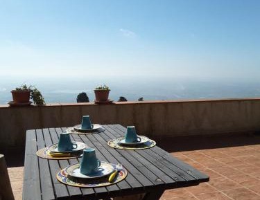 King Room with Garden View