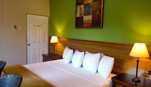 King Room with Pool View