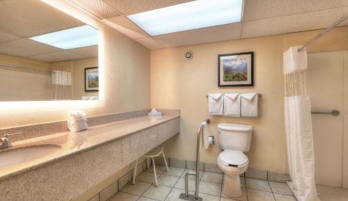 King Room - Disability Access