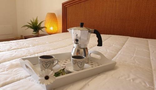 Studio with Garden View