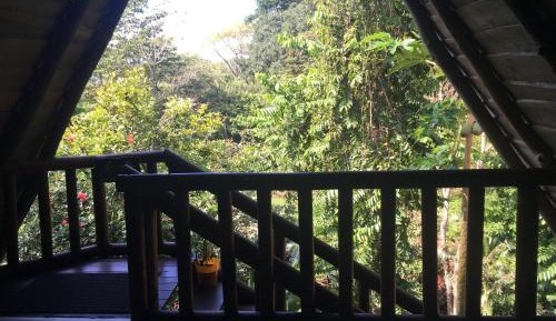 Standard Twin Room with Garden View