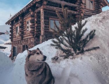 Eco Chalet 