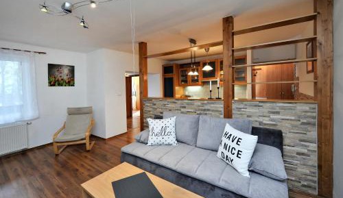 Apartment with Terrace
