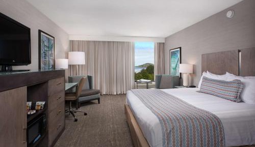 King Room with Ocean View - Pet Friendly/Non-Smoking