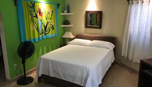 Junior Garden View Room