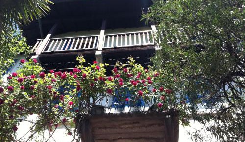 Superior Double or Twin Room with Lake View