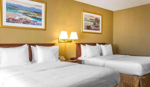 Queen Room with Two Queen Beds - Non-Smoking