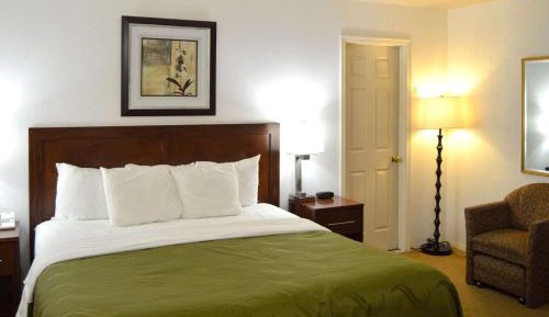 Queen Room with Roll-In Shower - Accessible/Non-Smoking