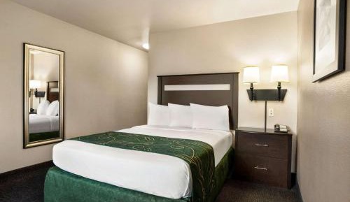 Queen Room - Non-Smoking - Non Pet Friendly