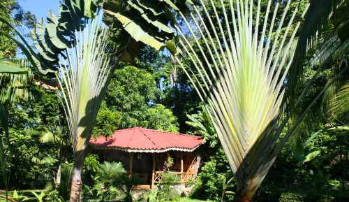 2 Bedroom Bungalow 