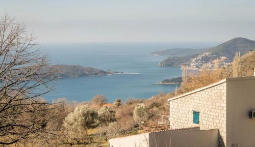Three-Bedroom House with Terrace 