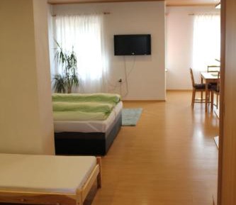 Apartment with Garden View