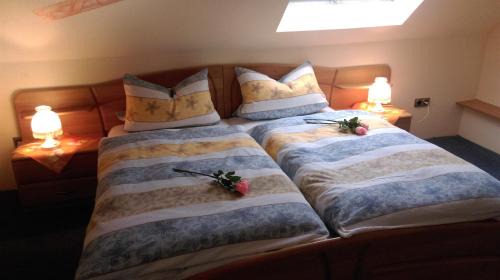 Apartment (4 Adults)