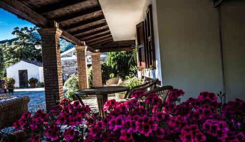 Quadruple Room with Garden View