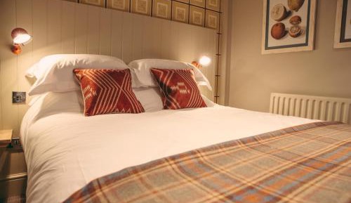 Cozy Double Room