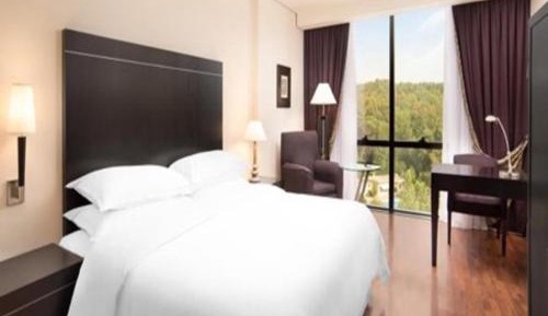 Tower Deluxe Double or Twin Room