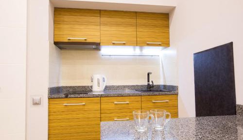 Duplex Apartment