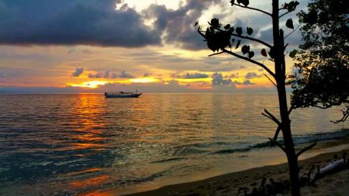 Bungalow - Beach Front