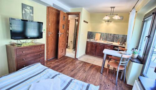 Studio Apartment